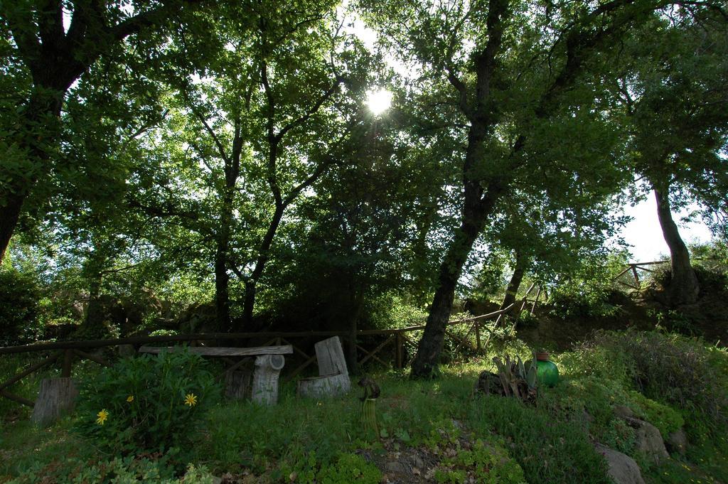 Bauernhof San Vincenzo *