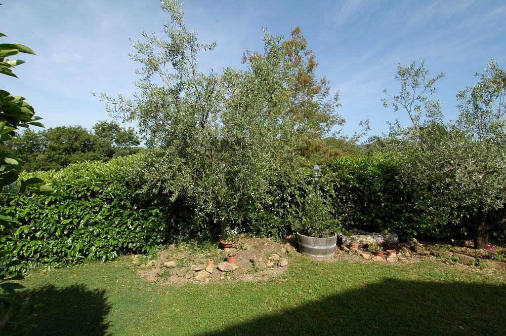 Agriturismo San Vincenzo Farm stay