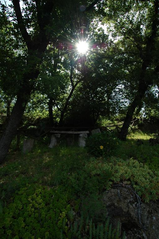 Bauernhof San Vincenzo