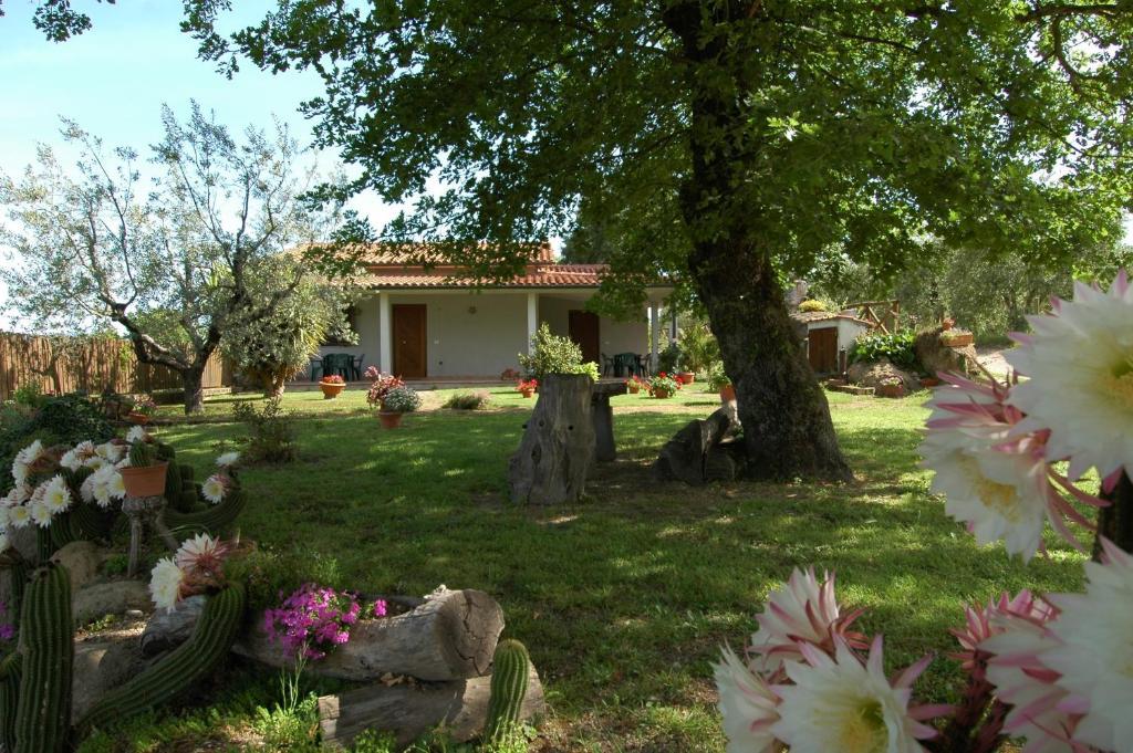 San Vincenzo Bauernhof